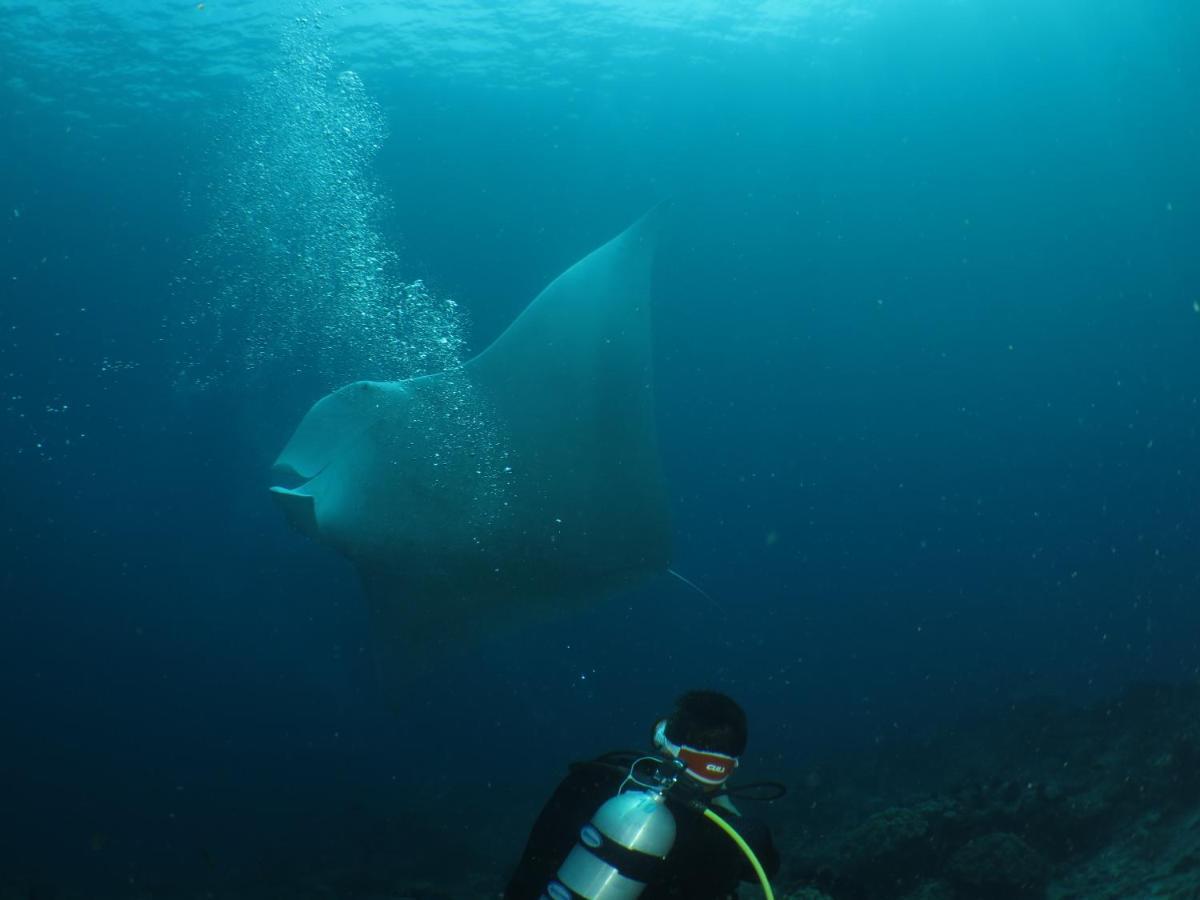 ฮามูโก้ ราจา แอมพัท รีสอร์ท Rabia ภายนอก รูปภาพ
