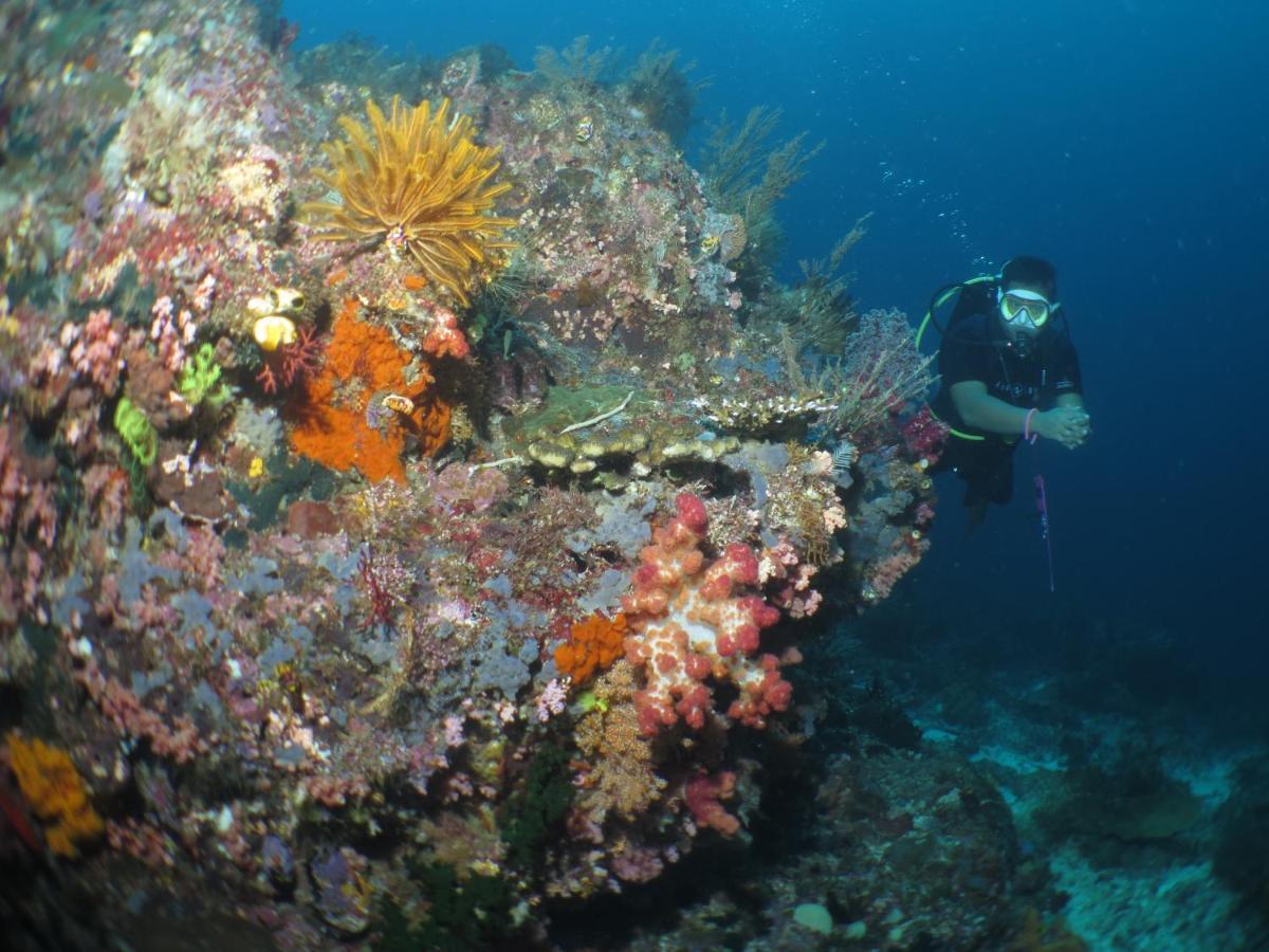 ฮามูโก้ ราจา แอมพัท รีสอร์ท Rabia ภายนอก รูปภาพ
